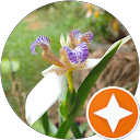 Larissa Macario profile picture